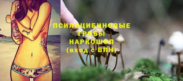 шишки Алзамай