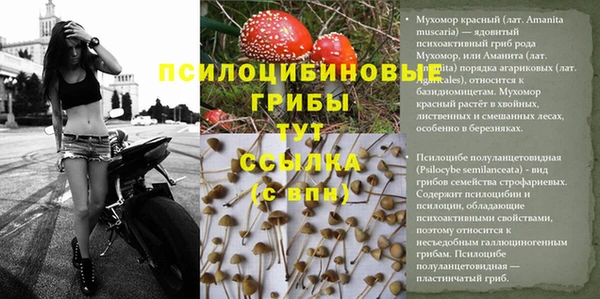 шишки Алзамай