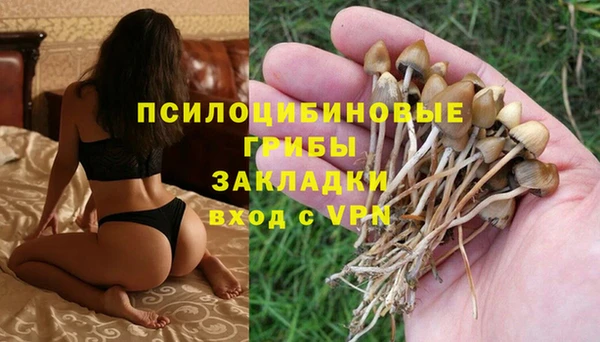 шишки Алзамай