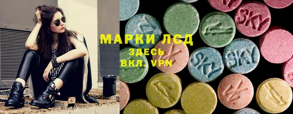 шишки Алзамай