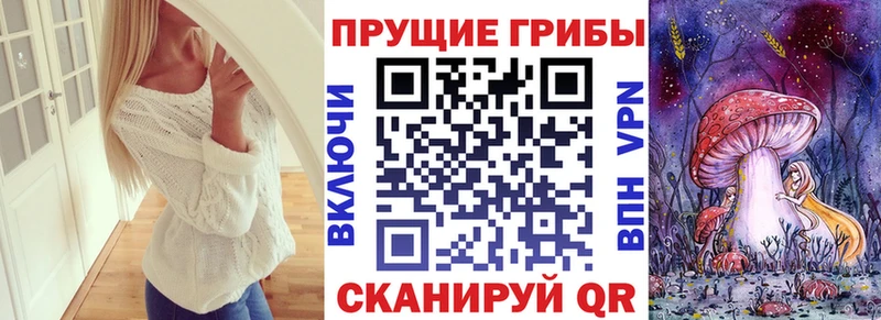 Псилоцибиновые грибы мицелий  наркотики  Новая Ляля 